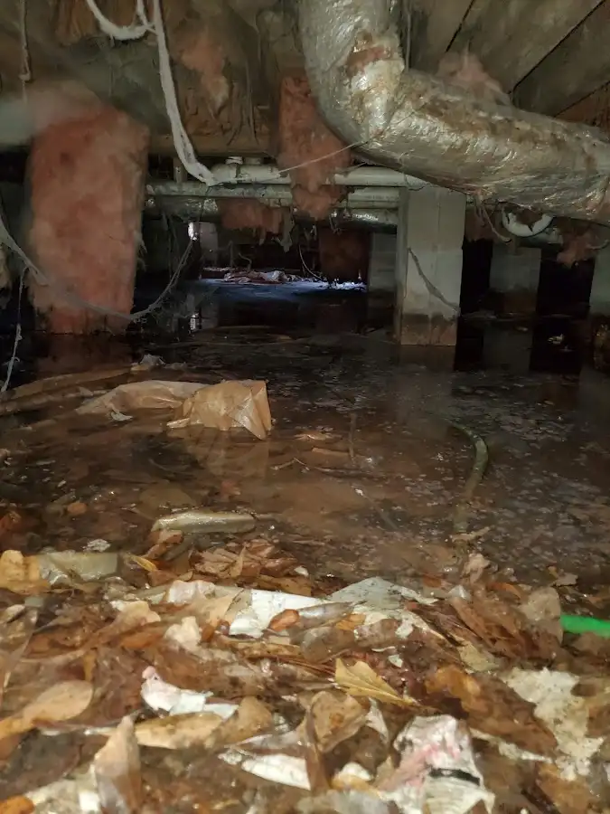 Crawl space flood assessment for Commercial Water Damage Restoration in Adrian