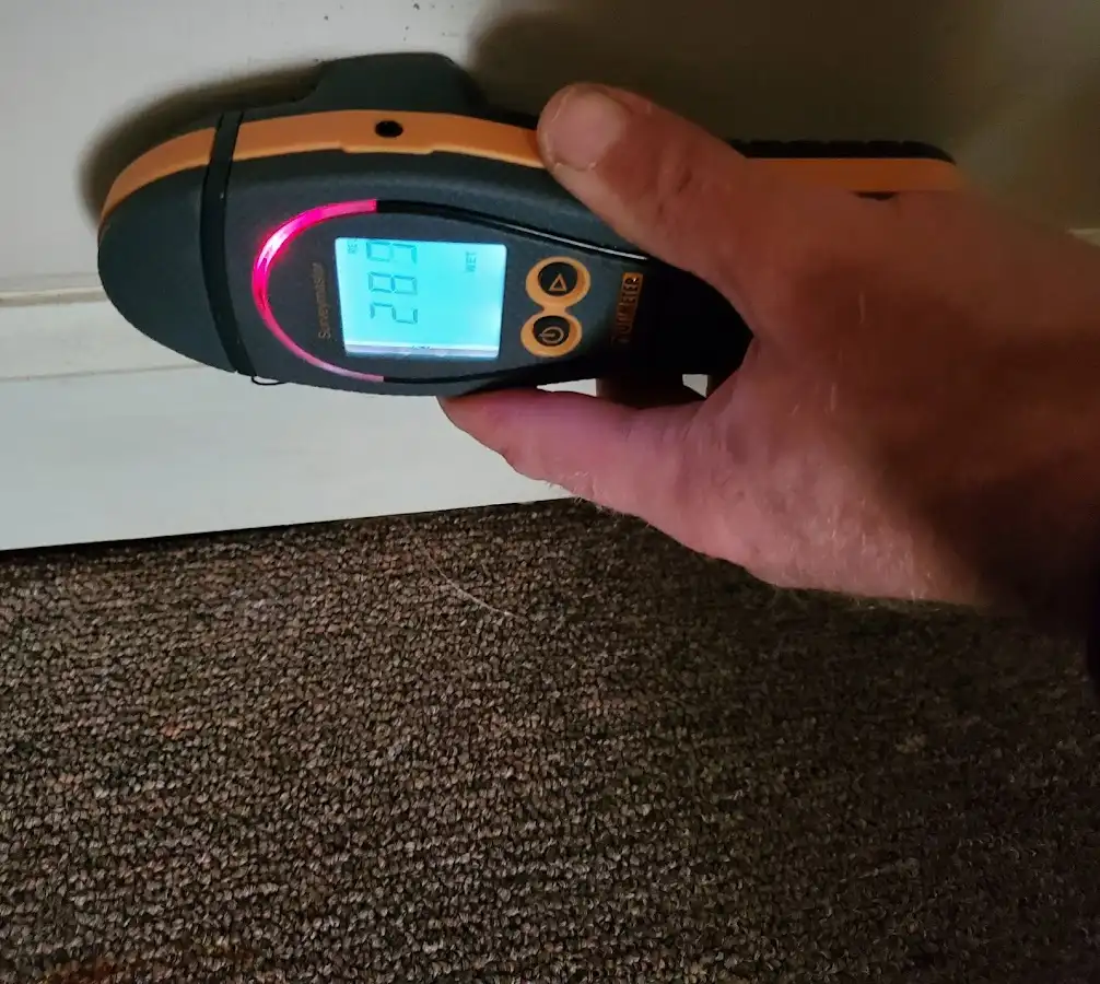Moisture detection at baseboard during Sewage Cleanup & Sanitation in Adrian